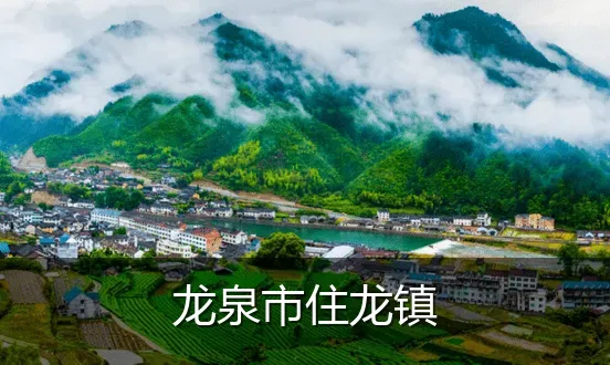 龙泉市住龙镇