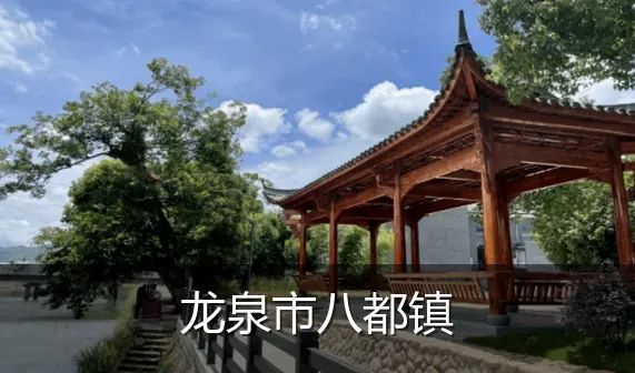 龙泉市八都镇