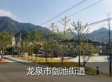龙泉市剑池街道