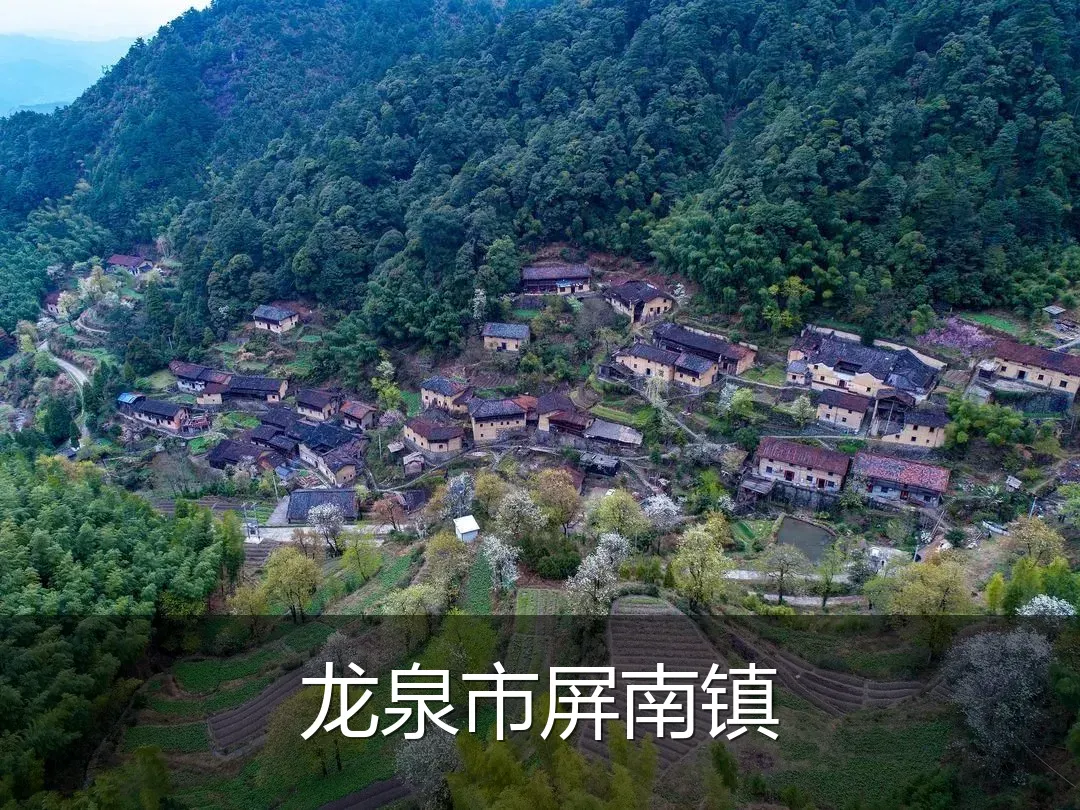 龙泉市屏南镇