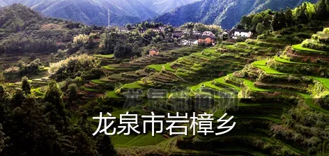 龙泉市岩樟乡