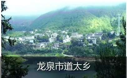 龙泉市道太乡